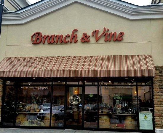 Branch & Vine