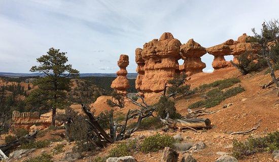 Eat. Sleep. HIKE