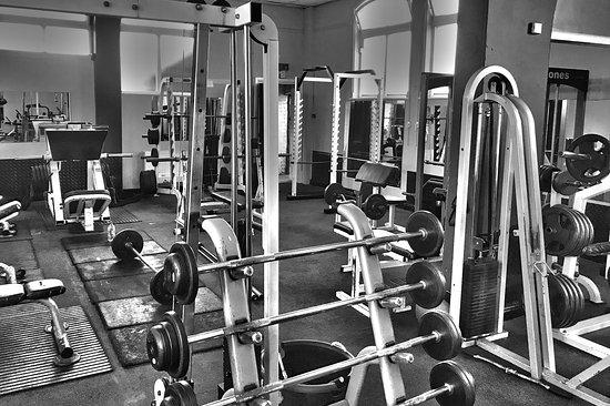 Blood Sweat & Muscle