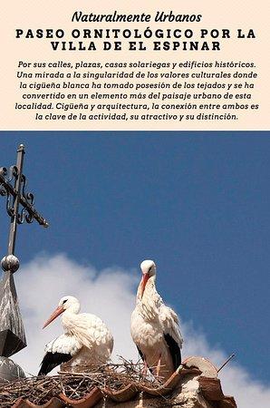 Colectivo Azalvaro