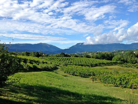 Azienda Agricola Mani Sagge