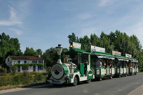 Le Petit Train du Marais Poitevin