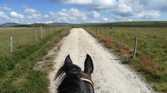 Ferme Equestre de Montcodiol