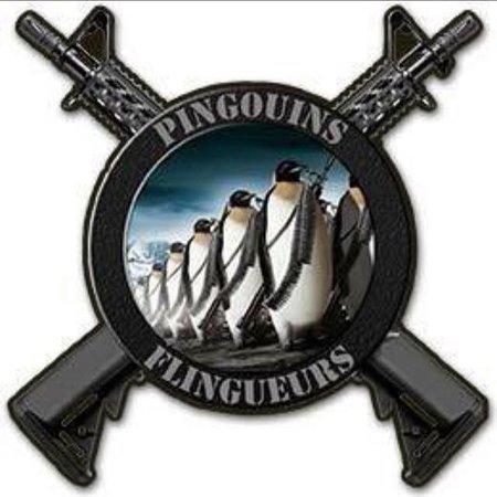 Les Pingouins Flingueurs