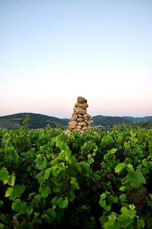 UNESCO Global Geopark du Beaujolais