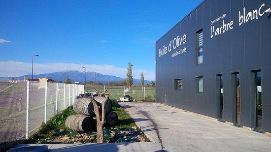 Domaine de l'Arbre Blanc