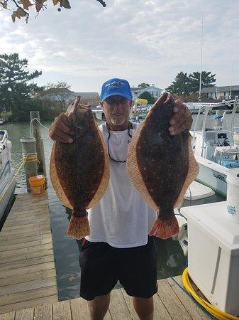 Bayside Guide Service