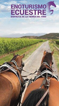 Enoturismo Ecuestre