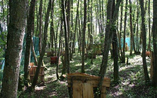Alilaxia Paintball