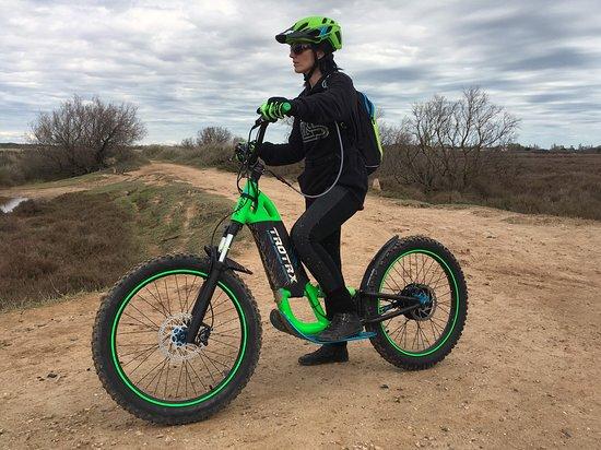 Trott Ride