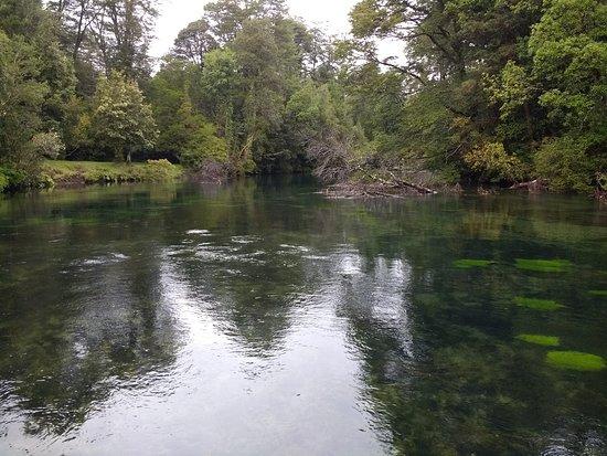 Lago Cayutue