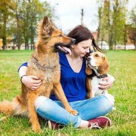 Paws Valley Dog Park