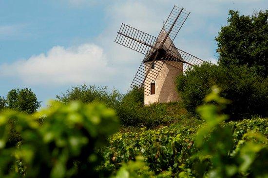Office de Tourisme - Santenay