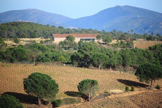 Domaine La Madura