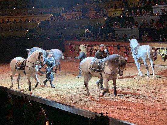 Medieval Times Dinner & Tournament