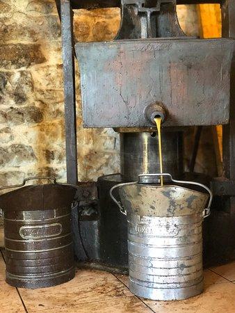 Le Moulin du Trel