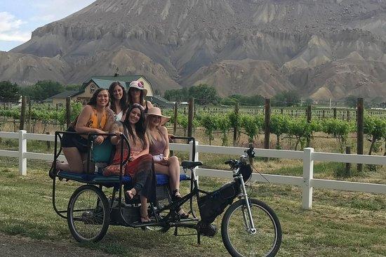 Palisade Pedicab