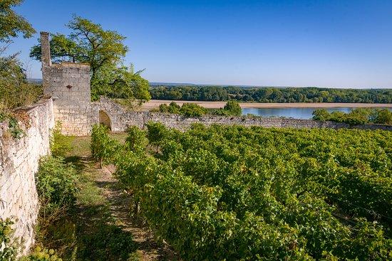 Domaine De La Perruche