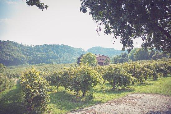 De Riz - Viticoltori in Conegliano Valdobbiadene