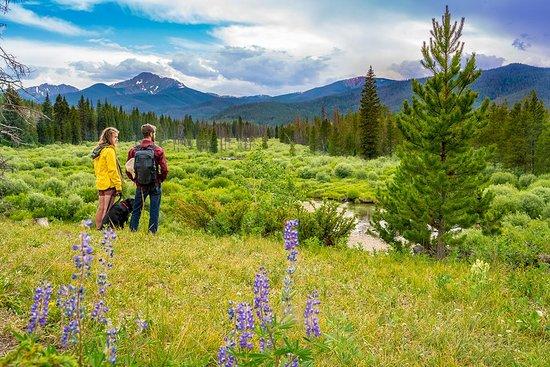 The Shed Adventure Concierge