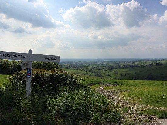 Yorkshire Food Finder