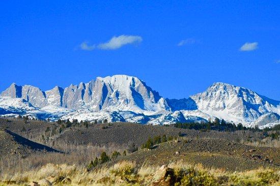 Pinedale Nature Tours