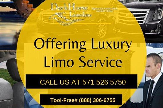 DarkHorse LimoLine