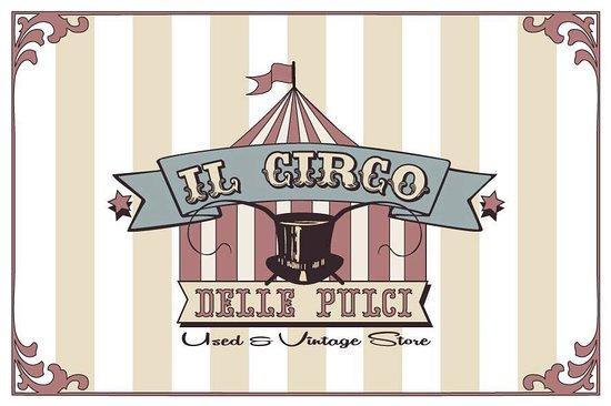 Il Circo delle Pulci