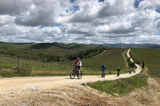 Chianti By Bike