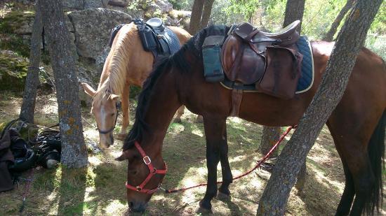 Cabalcampo