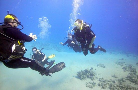 Med Sea Diving
