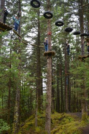 Nevis Range - Tree Adventure