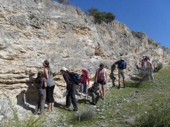 Fossil Hunt Wales