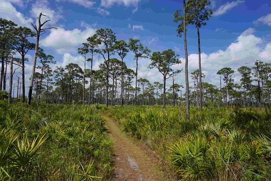 Jonathan Dickinson State Park