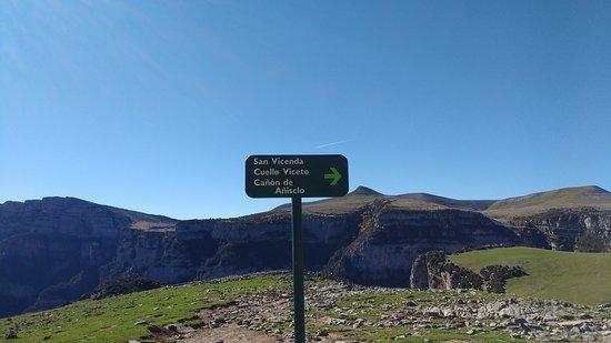 Solo Monte