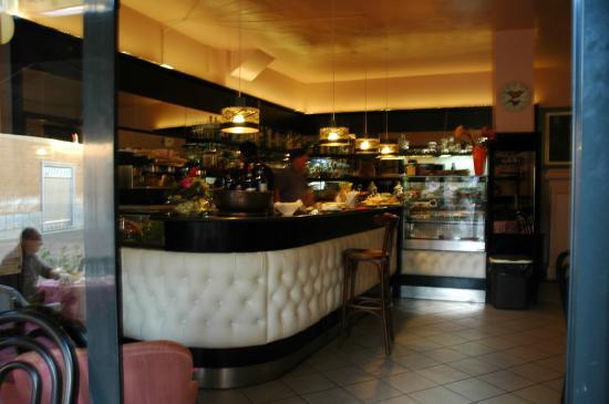 Bio Art & Shop Cafe