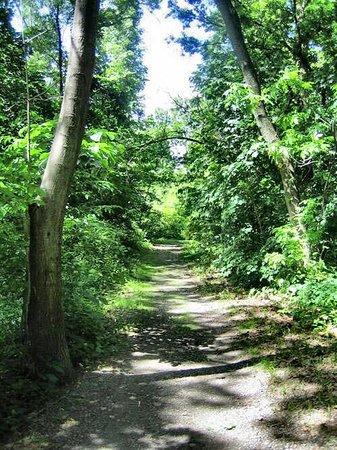 Destiny Kinal River Loop Trail