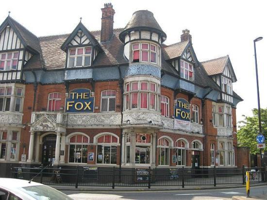 The Fox