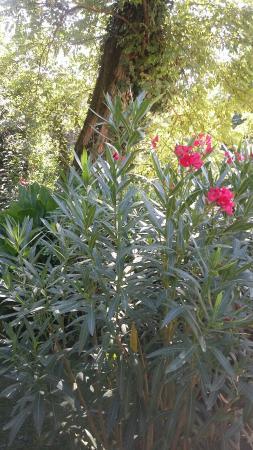 Le Pigeonnier
