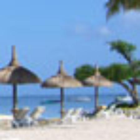 Moe's Italian Sandwiches