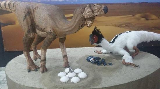 Museu de Ciências Naturais Joias da Natureza