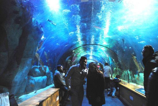 Aquarium de Valencia
