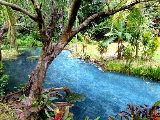 Balek Wildlife Sanctuary