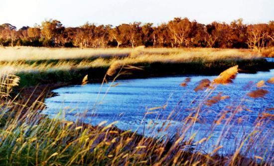 Braeside Park