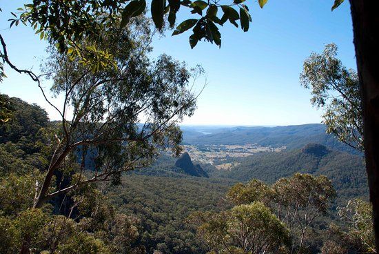 Bellbird Lookout & Circuit
