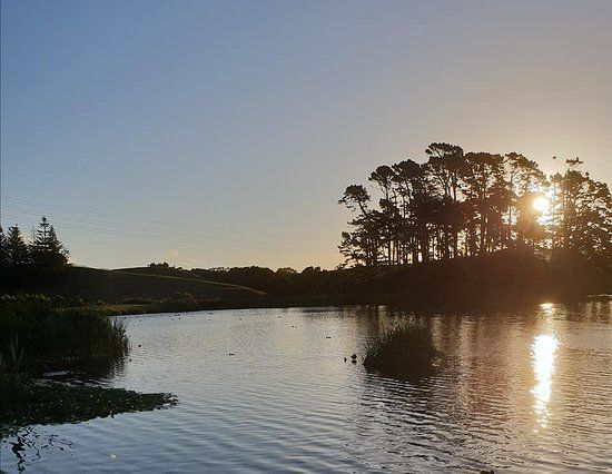 Barrett Domain Walkway