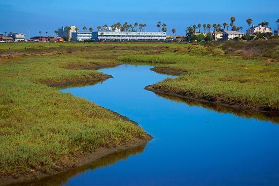 Tijuana River National Estuarine Research Reserve