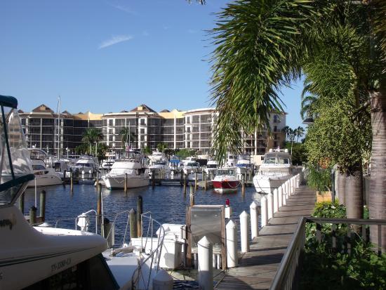 Harbour View Gallery