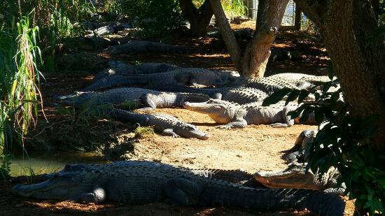 Everglades Outpost Wildlife Refuge