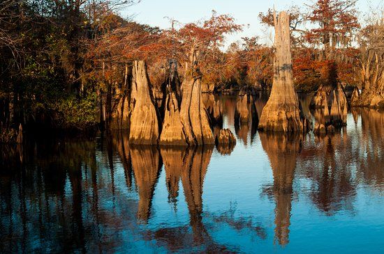 Dead Lakes Recreational Area